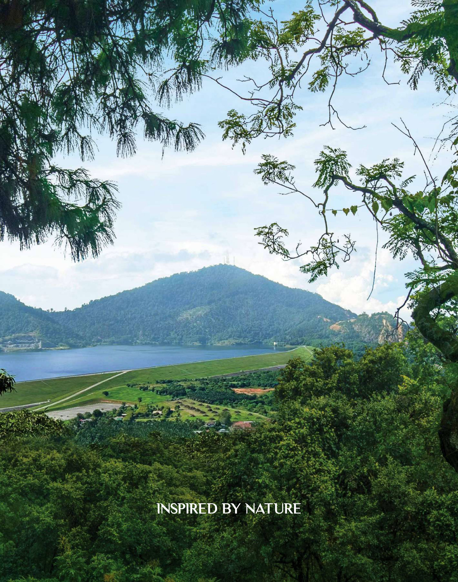 Lakeside scenery near Northern TechValley industrial park, Bukit Mertajam Penang